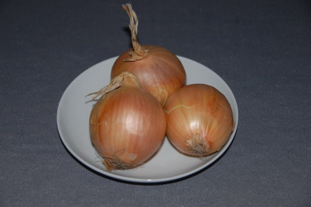 Løg Stutgarter Riesen (Onion Yellow Sweet)