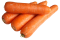 Gulerod Robila (Daucus carota)