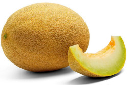 Melon Ananas (Cucumis melo...