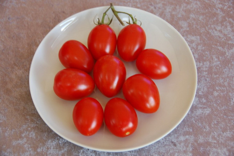 Tomat San Marzano (Lycopersicon)